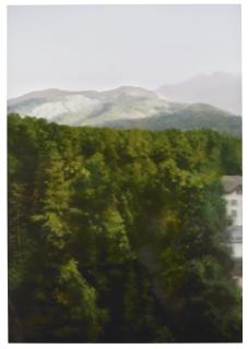 Gerhard Richter - Waldhaus (P18)