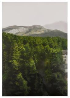 Gerhard Richter - Waldhaus (P18)