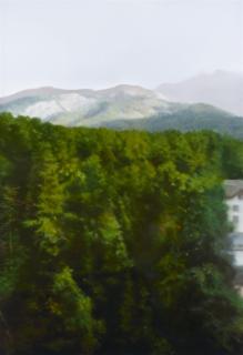 Gerhard Richter - Waldhaus