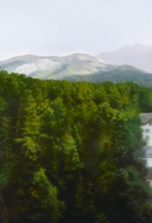 Gerhard Richter - Waldhaus