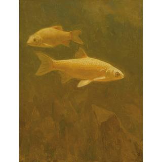 Gerrit Willem Dijsselhof - Dutch Goudvissen