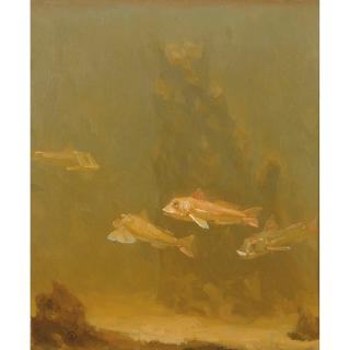 Gerrit Willem Dijsselhof - Dutch Ponen