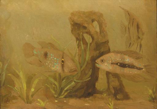 Gerrit Willem Dijsselhof - Kameleon vissen