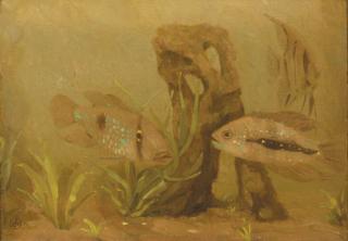 Gerrit Willem Dijsselhof - Kameleon vissen