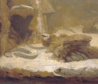 Gerrit Willem Dijsselhof - Puitalen: under the surface