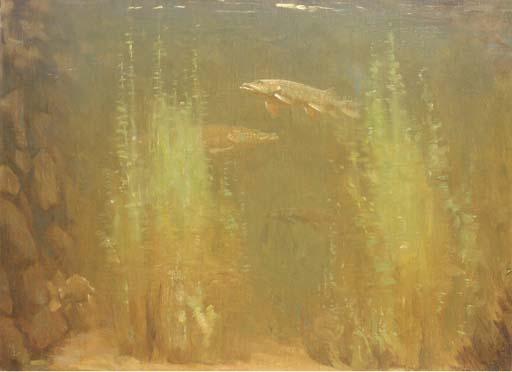 Gerrit Willem Dijsselhof - Snoeken: Pike Swimming