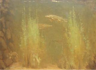 Gerrit Willem Dijsselhof - Snoeken: Pike Swimming