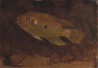 Gerrit Willem Dijsselhof - Under water