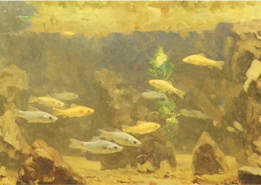 Gerrit Willem Dijsselhof - Underwater