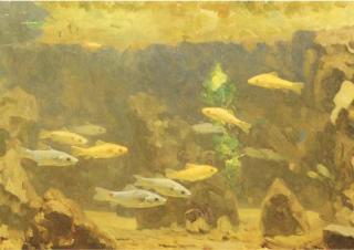 Gerrit Willem Dijsselhof - Underwater