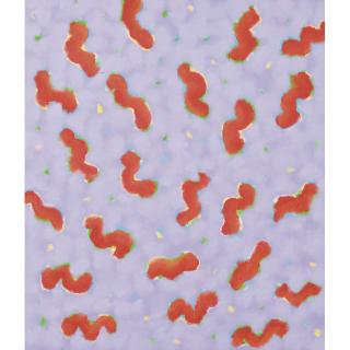 Gershon Iskowitz - Orange Mauve - F