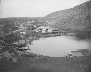 Gertrude Käsebier - Newfoundland