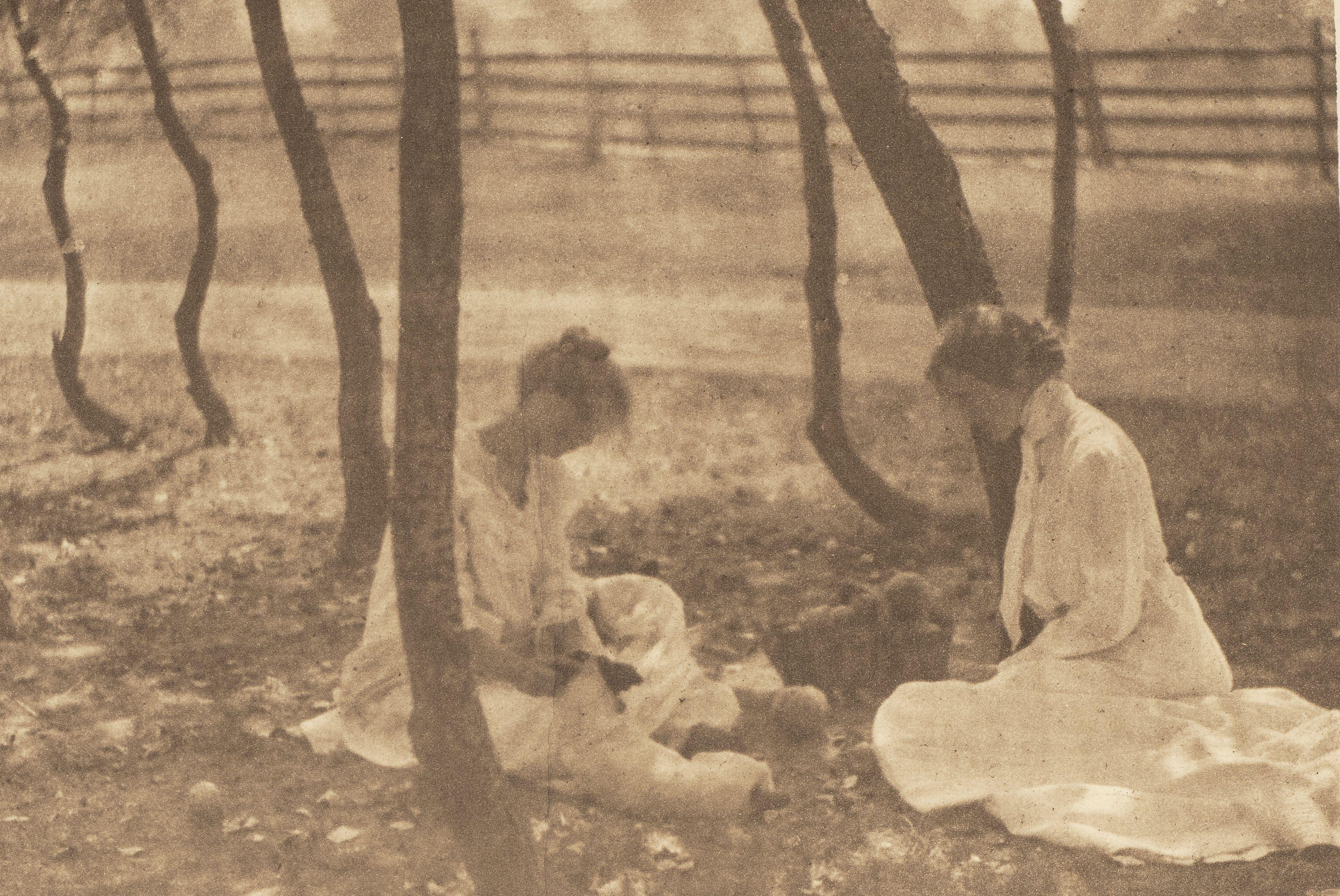 Gertrude Kasebier - Autumn (from \'The Photographic Times-Bulletin\')