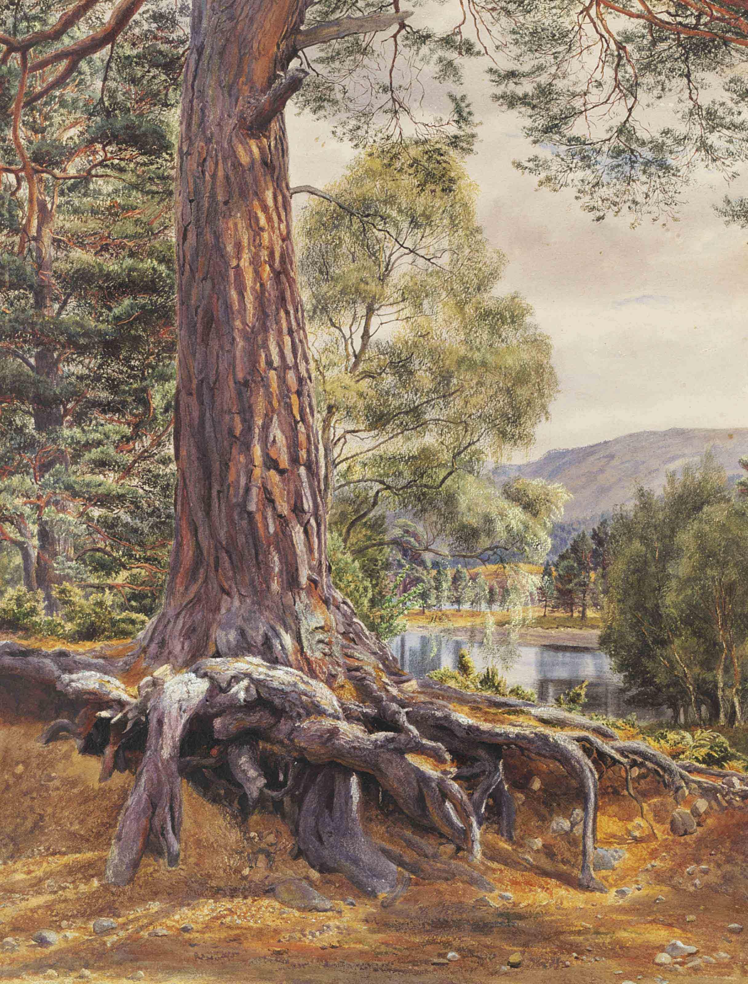 Gertrude Martineau - A river landscape with a conifer in the foreground