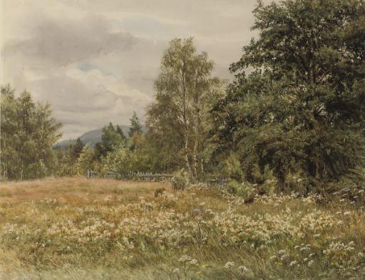 Gertrude Martineau - Wild Flowers In A Meadow, Thought To Be Near Aviemore
