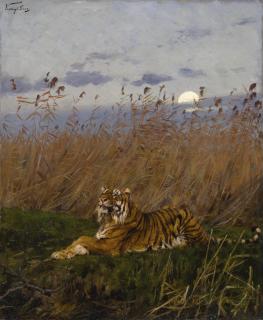 Géza Vastag - Hungarian a Tiger Among Rushes In The Moonlight