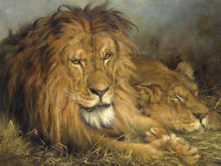 Geza Vastagh - A Lion and a Lioness