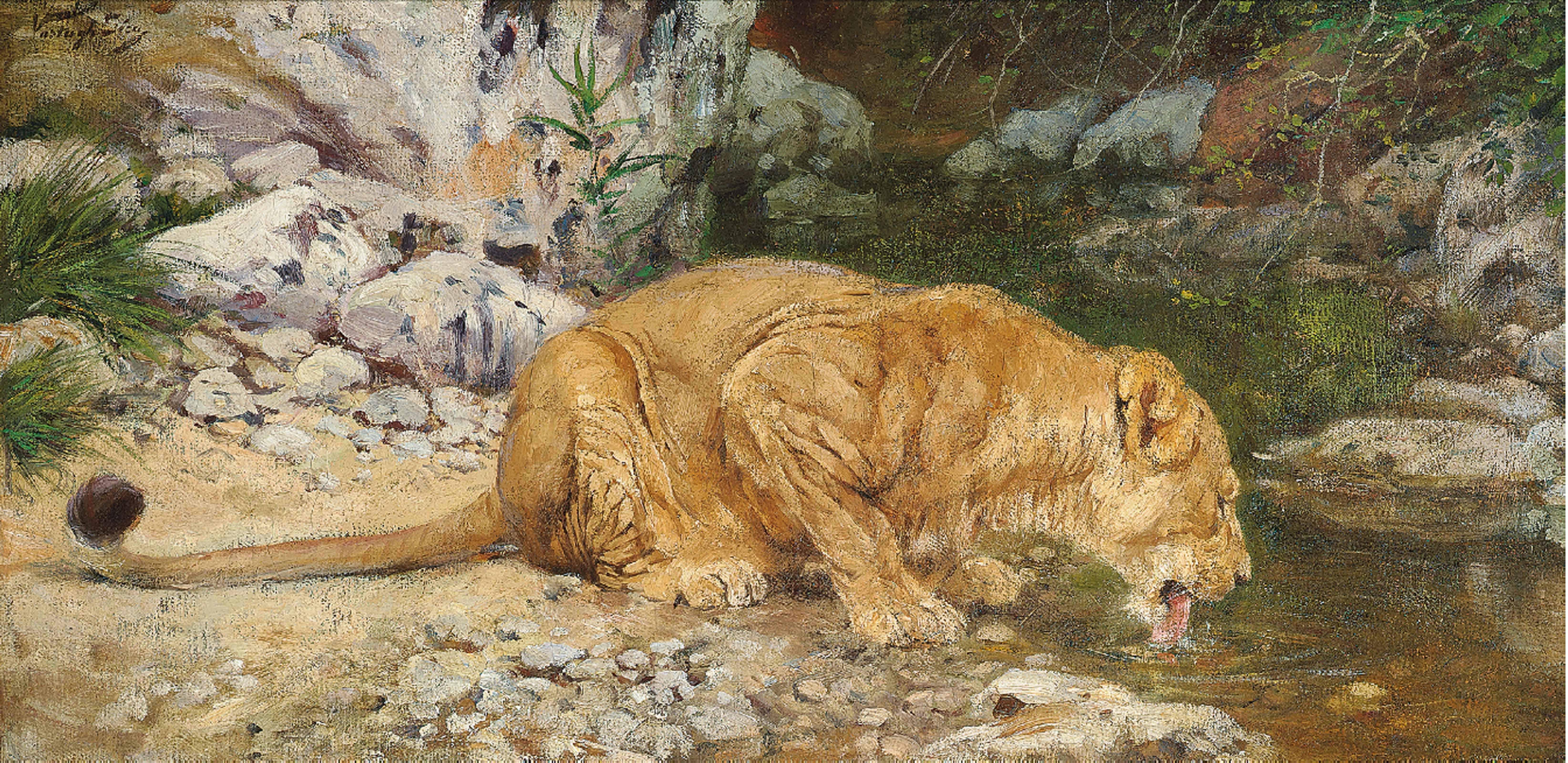 Geza Vastagh - A lioness at the watering hole