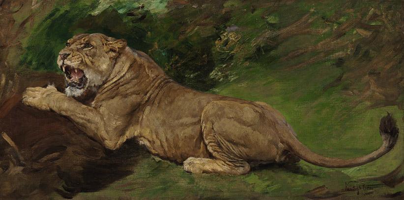 Geza Vastagh - A lioness ready to pounce