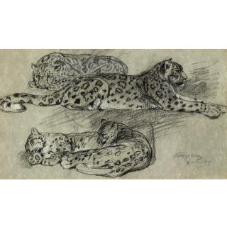 Géza Vastagh - Hungarian Lounging Leopards