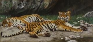 Géza Vastagh - Hungarian resting Tigers