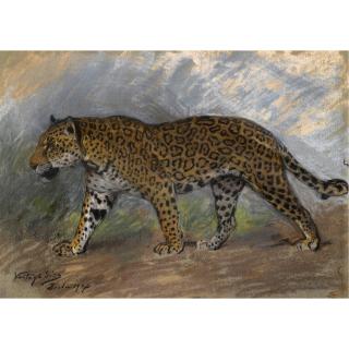 Géza Vastagh - Jaguar