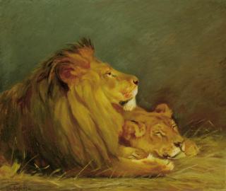 Geza Vastagh - Lions At Rest