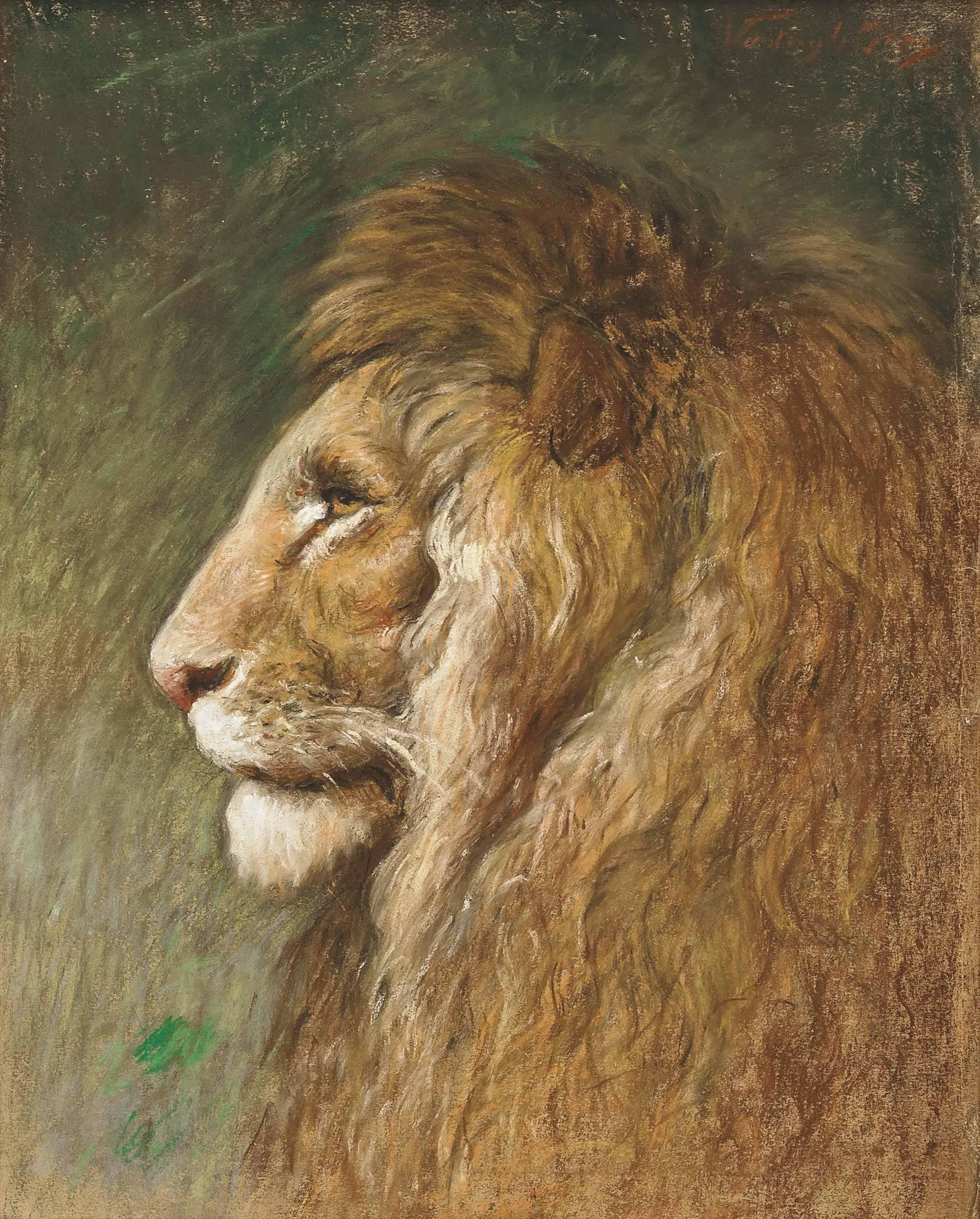 Geza Vastagh - Study of a lion