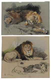 Géza Vastagh - Study of a reclining lion; Two studies of lions