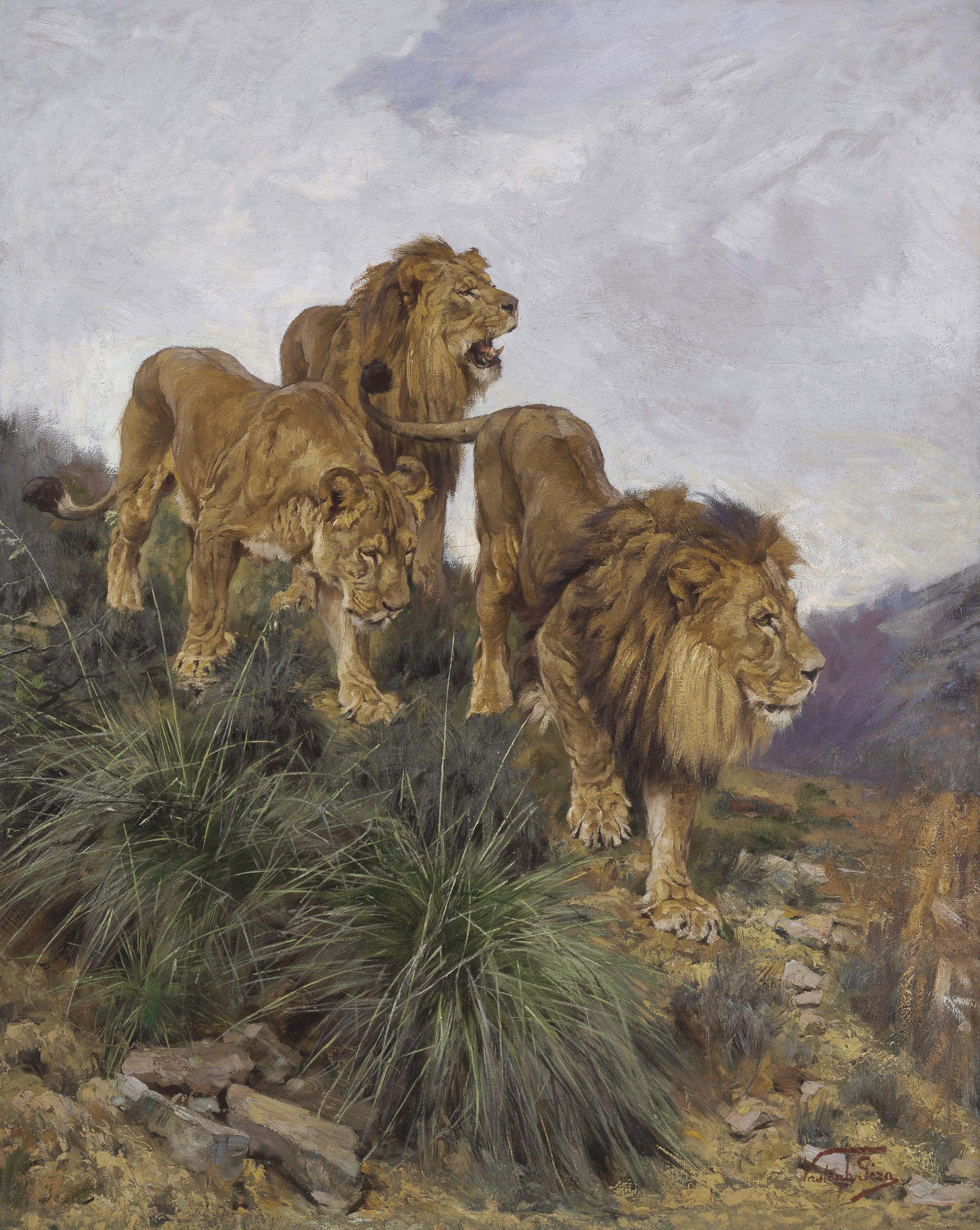 Géza Vastagh - Three Lions Walking Down A Rocky Hillside