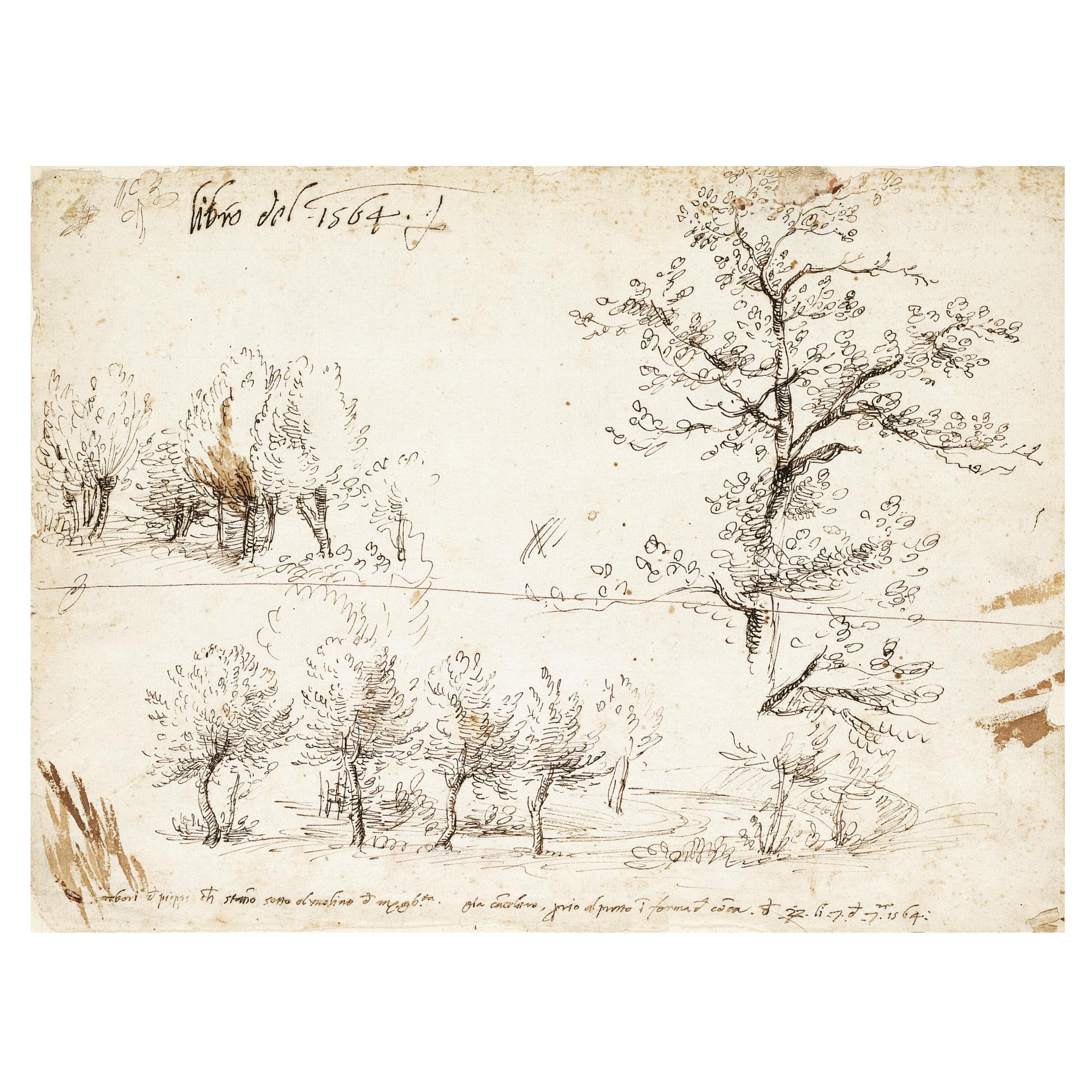 Gherardo Cibo - Poplar Trees Along A Road And Other Tree Studies