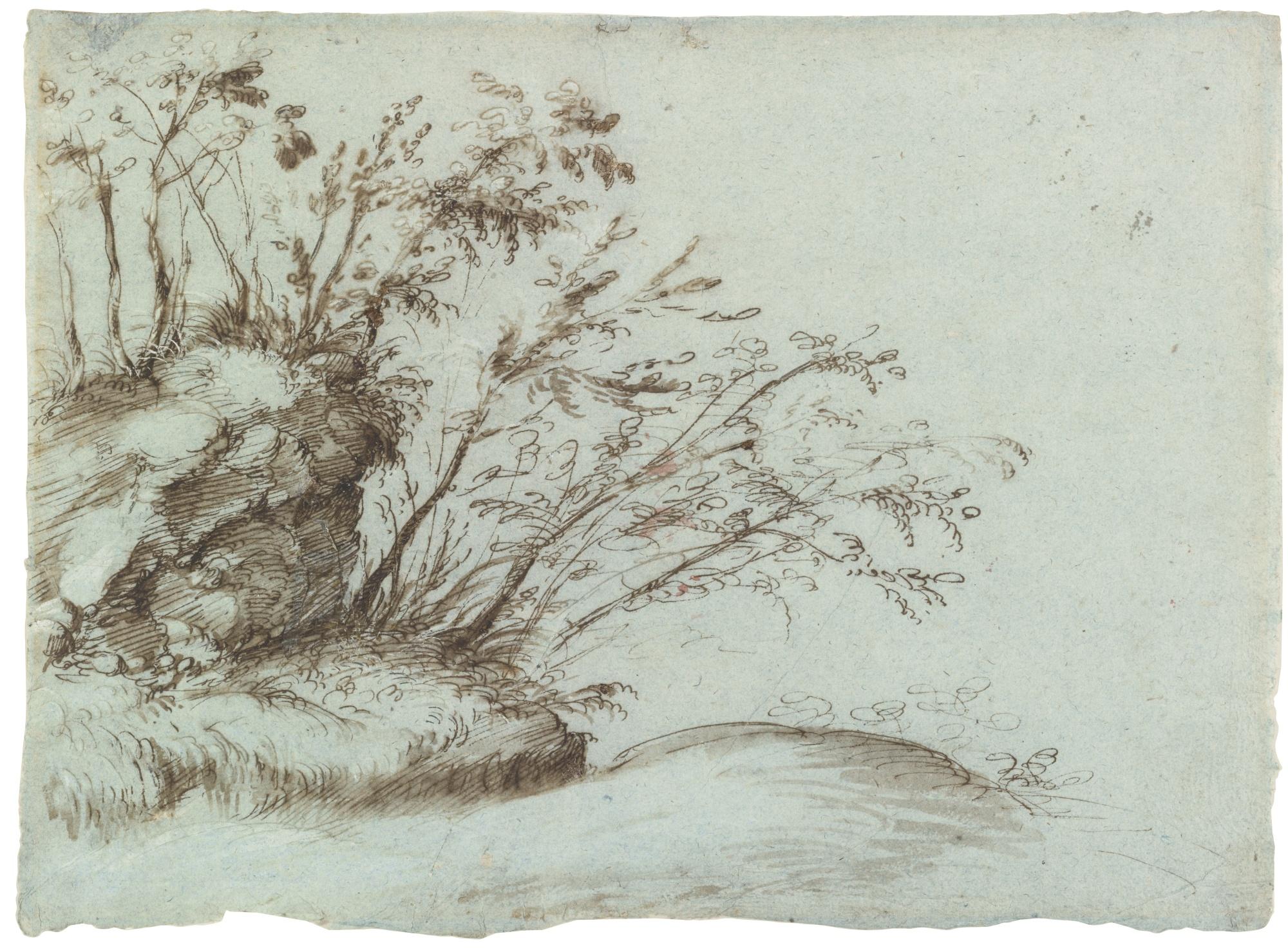 Gherardo Cibo - Study Of A Rocky Outcrop With Trees