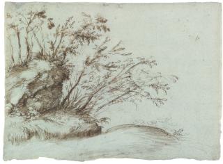 Gherardo Cibo - Study Of A Rocky Outcrop With Trees