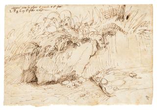 Gherardo Cibo - The bank of a stream