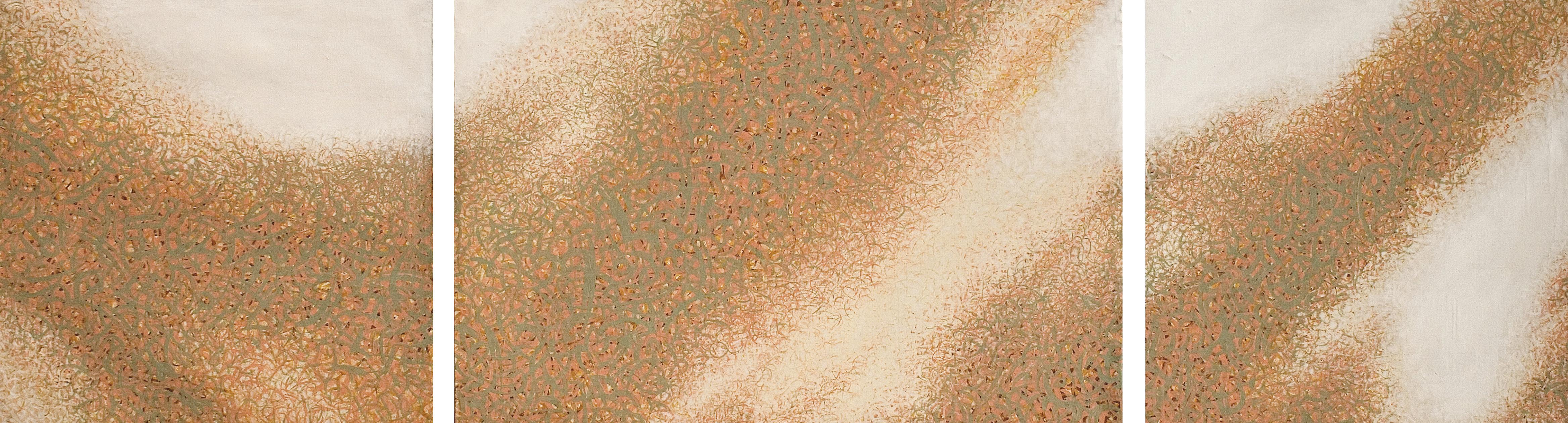 Gholamhossein Nami - Galaxy