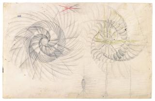 Giacomo Balla - Forme rumore di motocicletta (studio doppio)