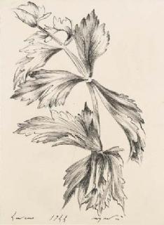 Giacomo Manzù - Senza Titolo