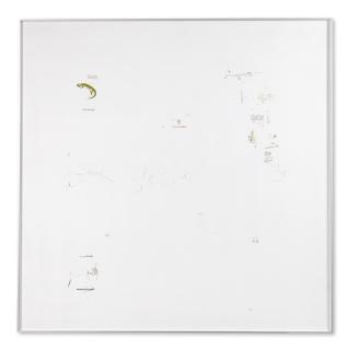 Gianfranco Baruchello - From A Body Of Spotted Salamander