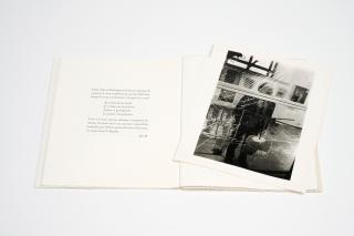 Gianfranco Baruchello - La Traversee Du Grand Verre, 1995