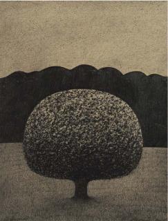 Gianfredo Camesi - Arbre (Pierre Et Bois), 1973