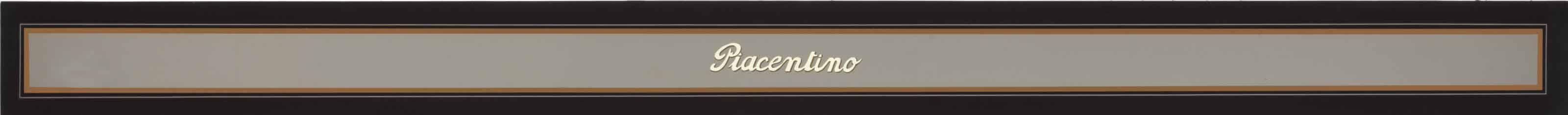 Gianni Piacentino - Sbarra Decorata Firmata Decorated Signed Bar