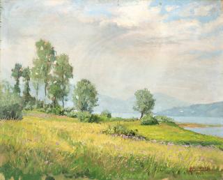 Gigi Comolli - Sulle rive del Lago Maggiore