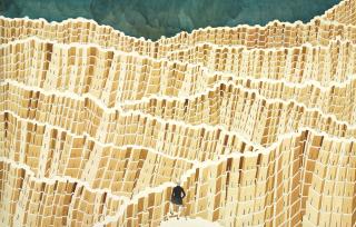 Gigi Scaria - Wanderer above the Sea