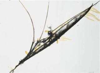 Gilberto Zorio - Senza titolo