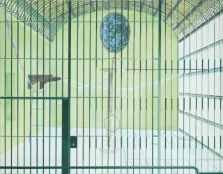 Gilles Aillaud - Cage Videsigned On The Back; Oil On Canvas. Executed In 1971.