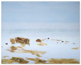 Gilles Aillaud - Grande mer bleue