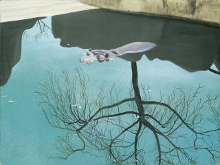 Gilles Aillaud - Hippopotame Et Arbre À L\'Envers