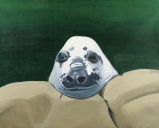 Gilles Aillaud - Phoque