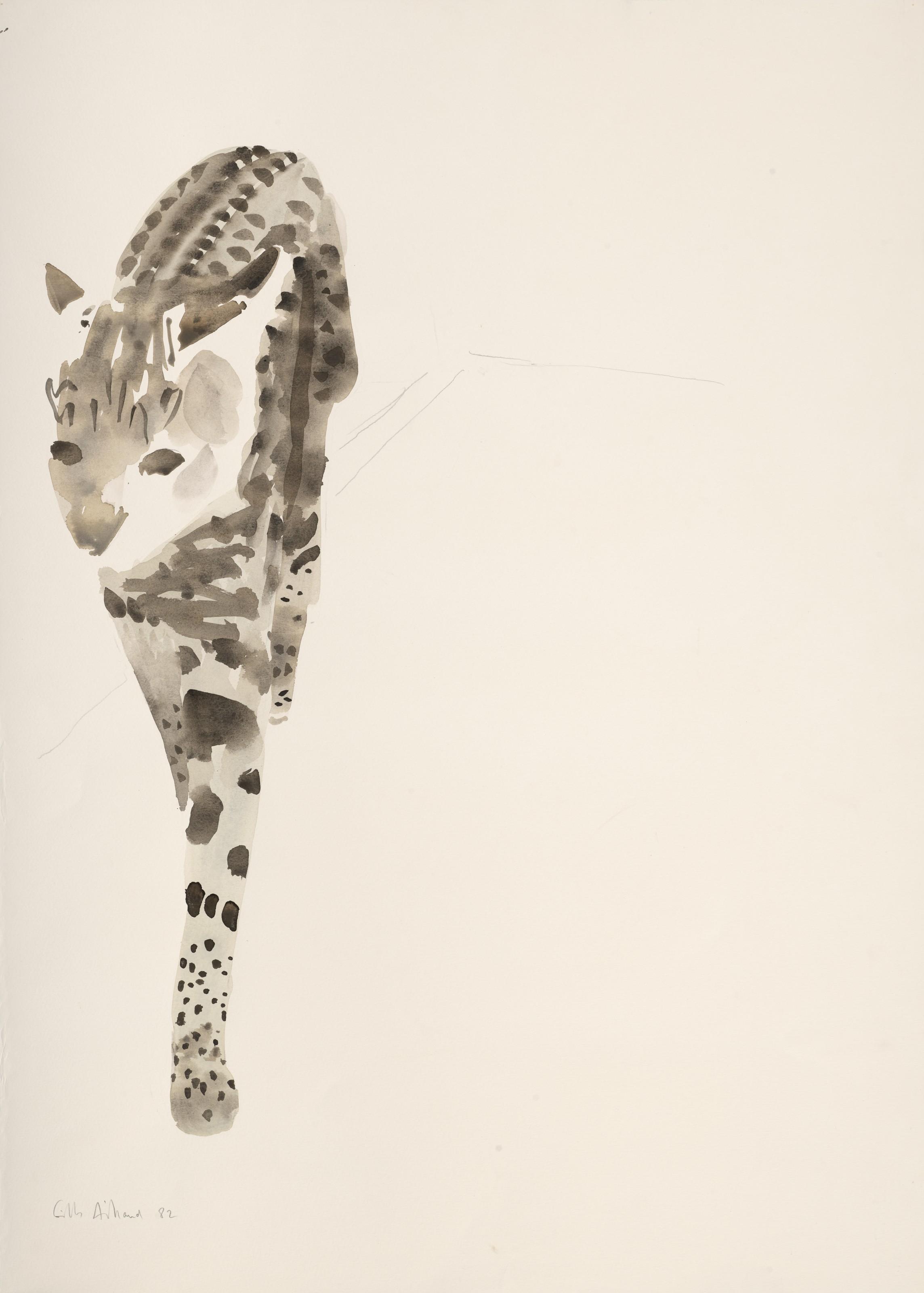 Gilles Aillaud - Serval