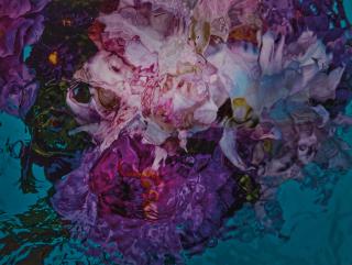 Gilles Bensimon - Flower in Water, 6394, 2012
